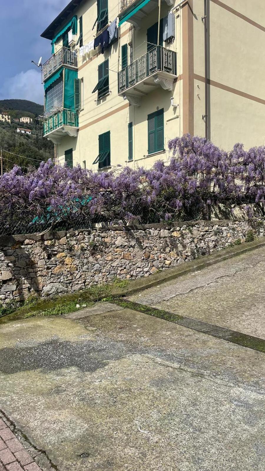 Chez Amelie Apartman La Spezia Kültér fotó